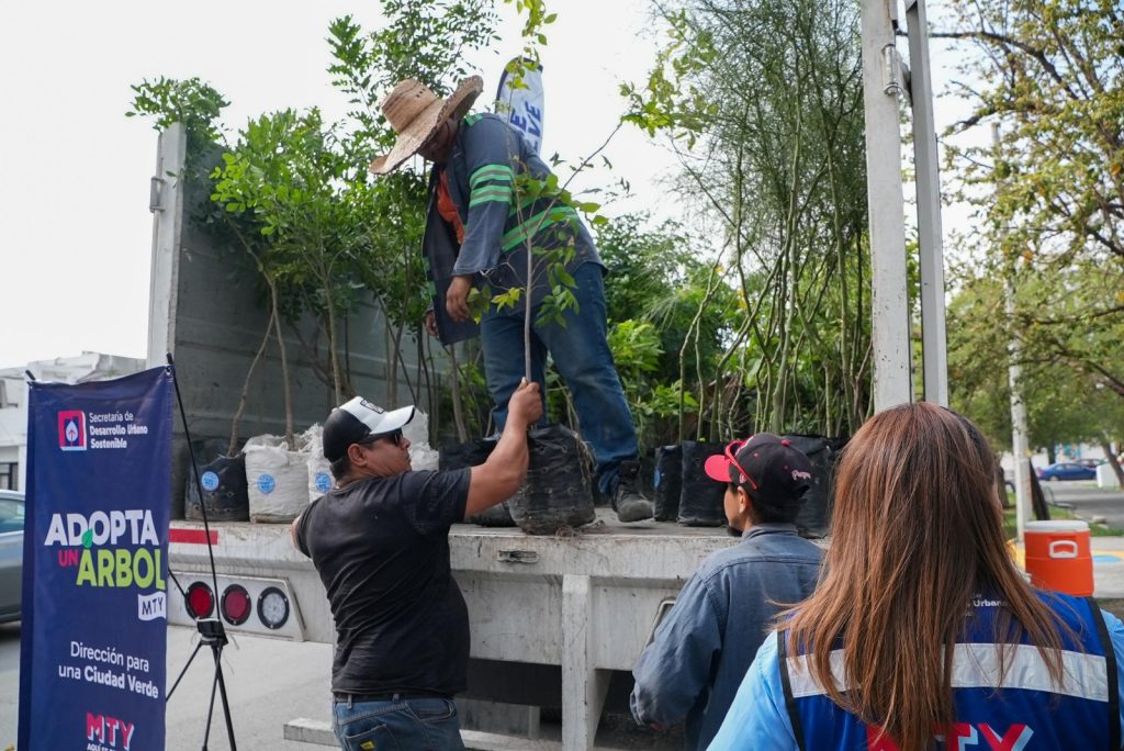 Adopta Un Árbol Mty - Hola Mty Proyecto-verde-adopta-un-árbol-mty