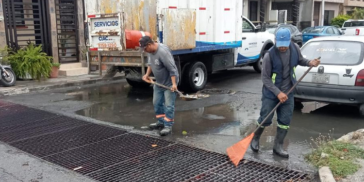 Limpieza Y Desazolve - Hola Mty