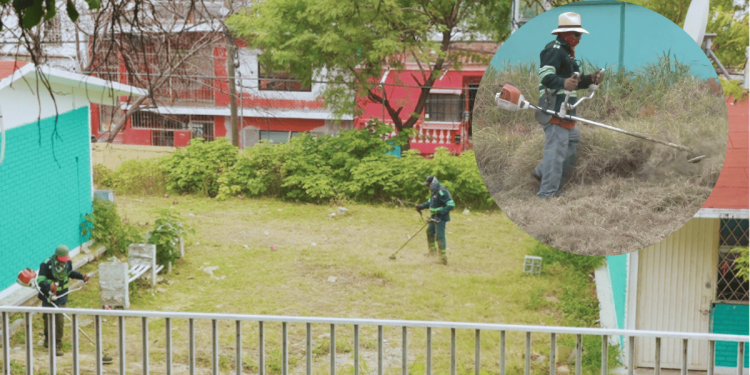 Mantenimiento-en-escuelas, Regreso-a-clases, Limpio, Municipio-de-monterrey - Hola Mty Mantenimiento-en-escuelas, Regreso-a-clases, Limpio, Municipio-de-monterrey - Hola Mty