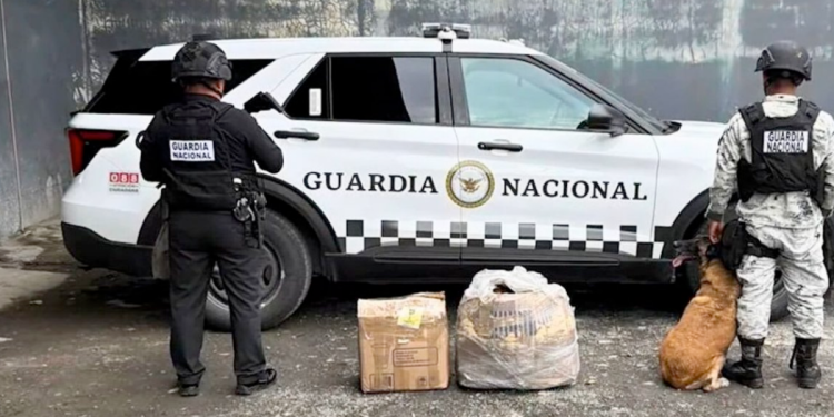 Pirotecnia-en-allende-guardia-nacional-reporte-ciudadano-pirotecnia-clandestina-explosión-en-pesquería - Hola Mty